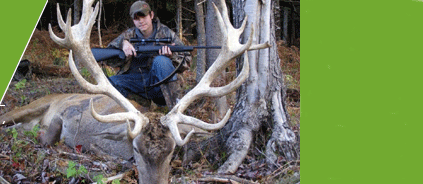 Mountain Shadows Hunting - Maine Based Tropy Hunts