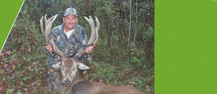 Maine Red Stag Managed Hunts